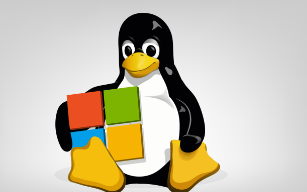 Linux系統(tǒng)安裝升級(jí)rpm文件的方法 Linux系統(tǒng)安裝升級(jí)rpm文件的方法